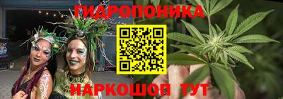 гашик Кинель