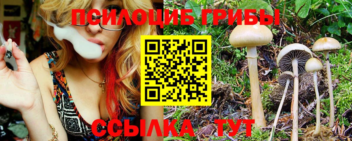 Щёлково  Псилоцибиновые грибы MAGIC MUSHROOMS  Вход с VPN 